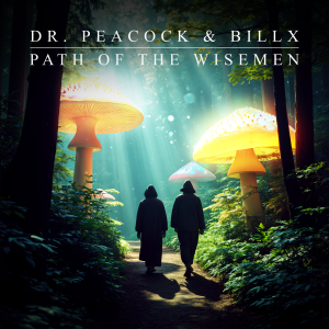 Dr. Peacock & Billx - Path Of The Wisemen artwork