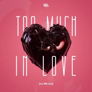 Xrim - Too Much In Love artwork